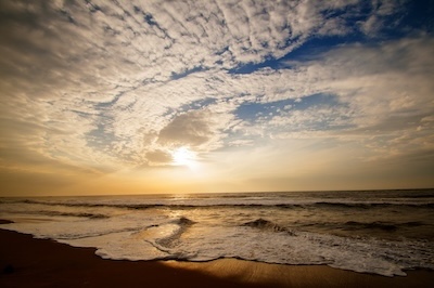 일상 속 건강을 지키는 운동: 뱃살에 좋은 운동, 새로운 연구 결과 반영